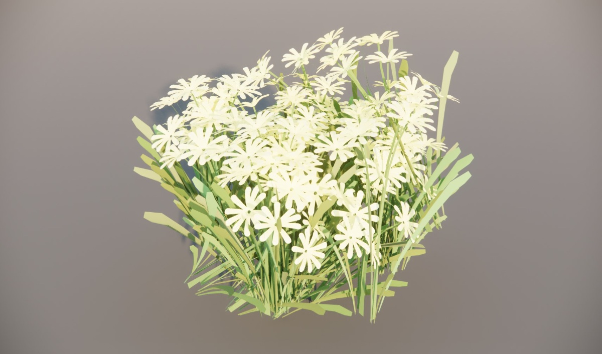 植物花草模型|花卉|菊花_166KB_vol.003