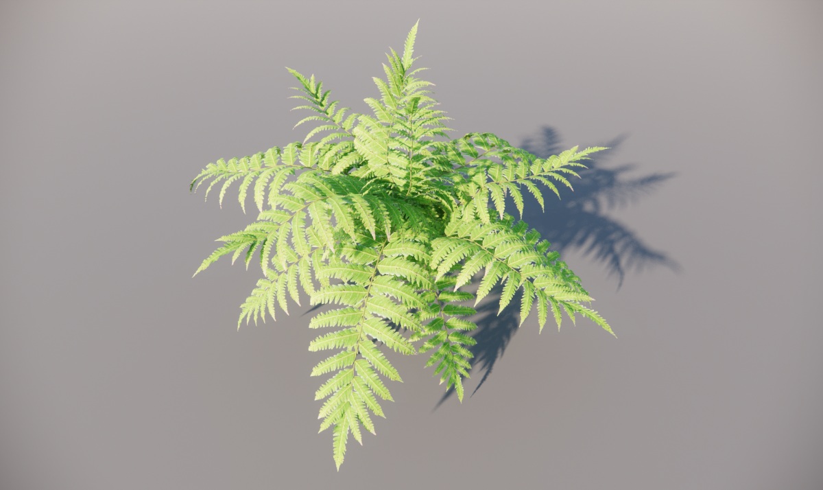 植物模型素材|灌木|毛蕨_8.3MB_vol.005