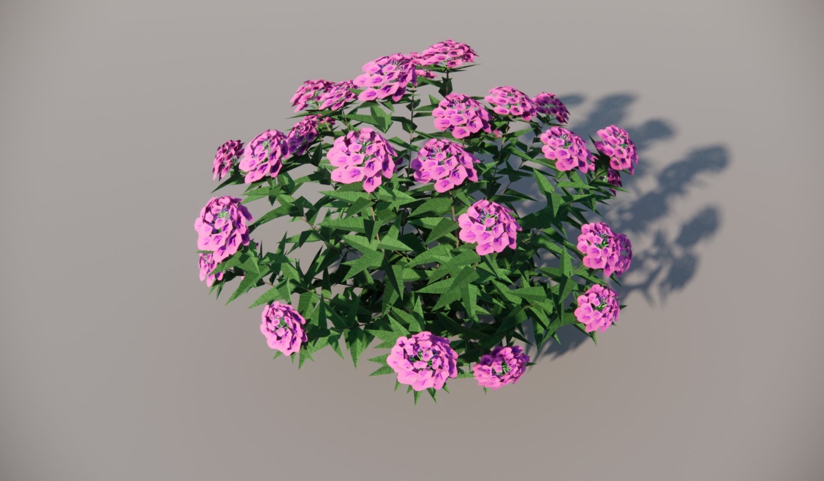 植物花草模型|花卉|锈球_131KB_vol.002